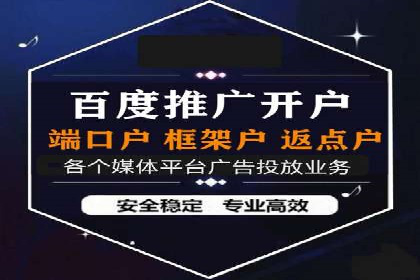 不同平台下的关键词竞价排名策略比较与案例分析